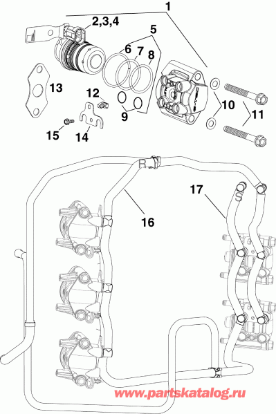 ��������� ��������� Evinrude E250DCXSCG  - el Injector & Rails
