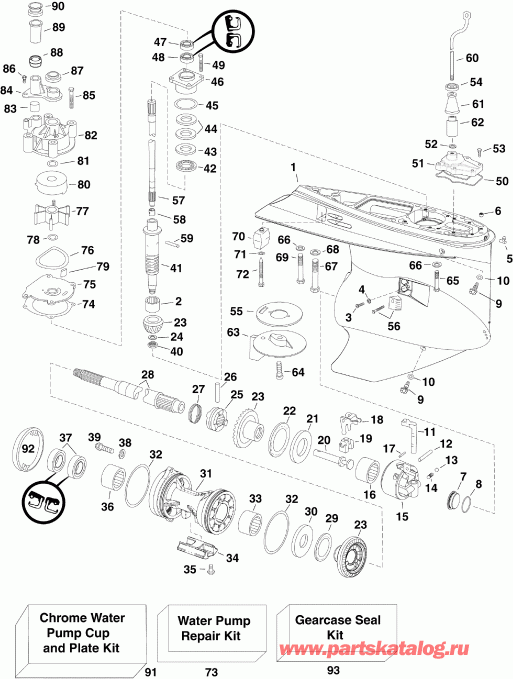 �������� ��������� ����� EVINRUDE E250DPXSCH  - arcase