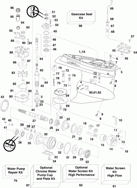  Evinrude E250DPXSCM  - arcase