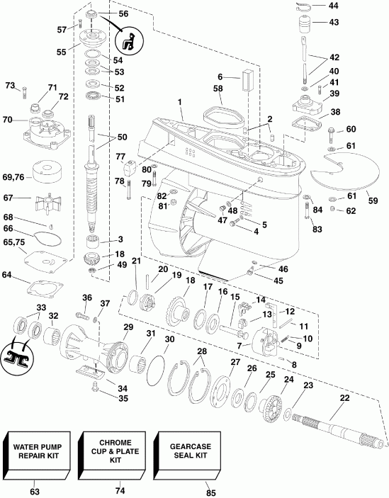  EVINRUDE E55MJRLSCC  - arcase / arcase