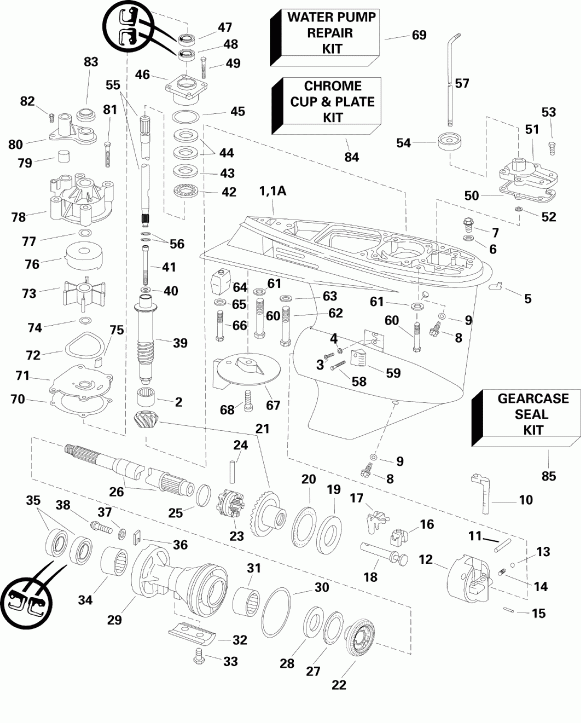 �������� ��������� ����� Evinrude E115DPLSEF  - arcase - arcase