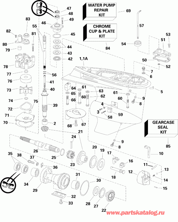  EVINRUDE E115DSLSEF  - arcase / arcase