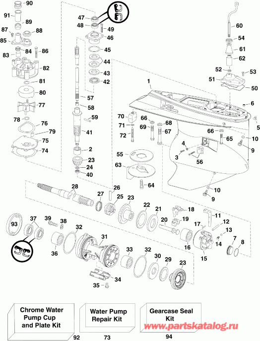 ��������� EVINRUDE E250DPLSEB  - arcase - arcase