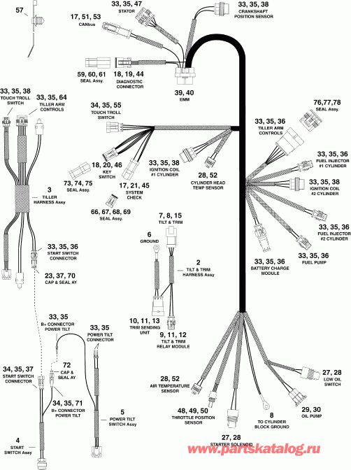 ��������� ��������� Evinrude E25DPLSES  - ectrical ���� �������� - ectrical Harness