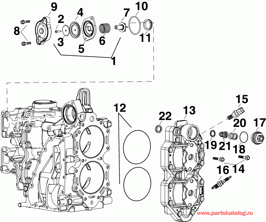 Evinrude E50DSLSEC  - linder Head & 