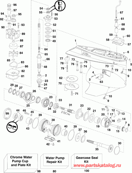 ����� Evinrude DE250CXISS  - arcase / arcase