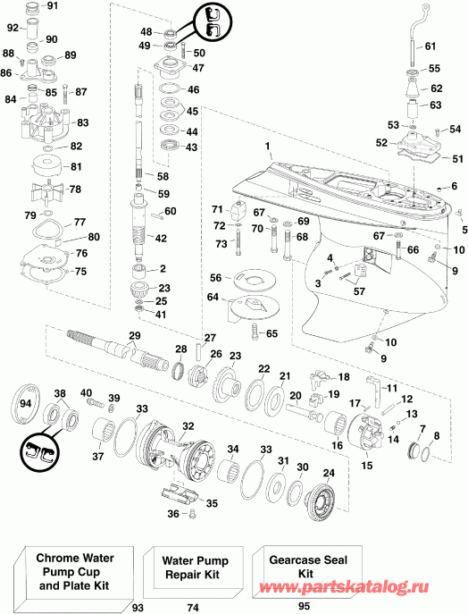 ��������� �������� ����� EVINRUDE DE250PZISF  - arcase - arcase