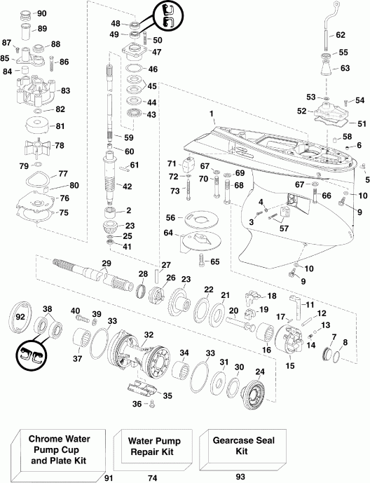 ����� EVINRUDE E175DPXISF  - arcase