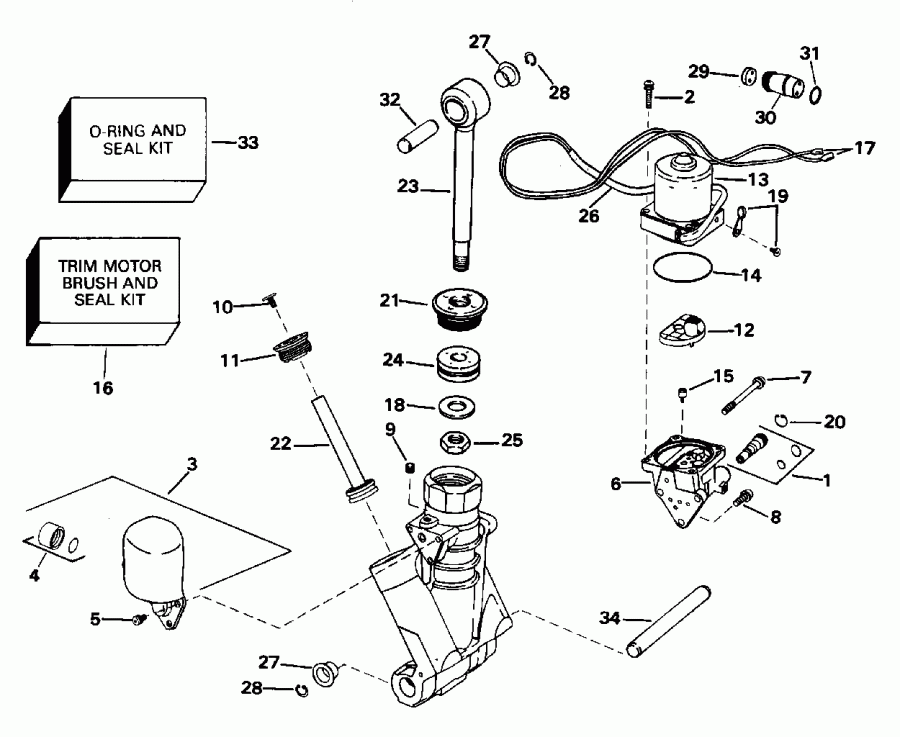   EVINRUDE E225PXEOB 1995  - wer Trim/tilt Hydraulic Assembly