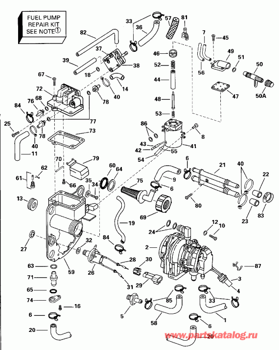 ��������� Evinrude BE150ELEDB 1996  - el ��������� & Components - el Bracket & Components