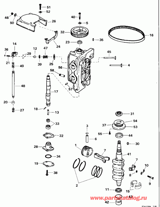 �������� ����� EVINRUDE BE15FREDR 1996  - linder Head & �������� / linder Head & Crankshaft