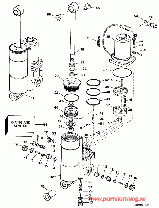 ��������� �������� ����� EVINRUDE BE35KLEDC 1996  - wer Trim/tilt - wer Trim / tilt