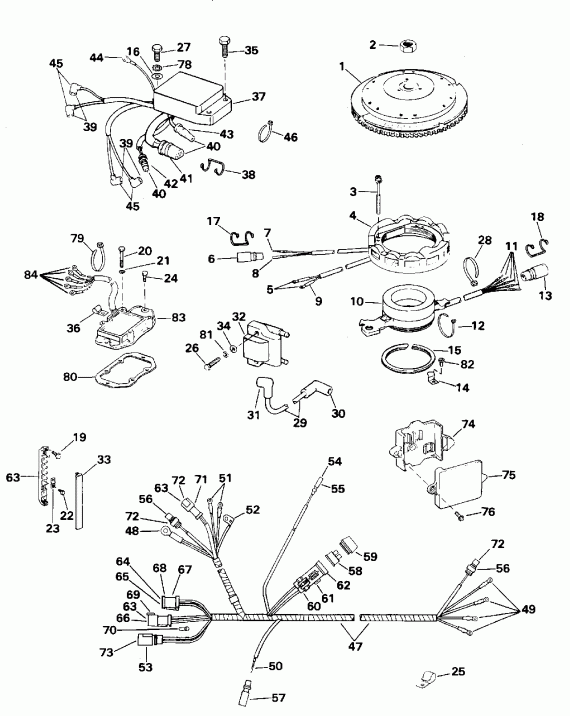 ��������� ��������� EVINRUDE E100WTLEDR 1996  - nition System