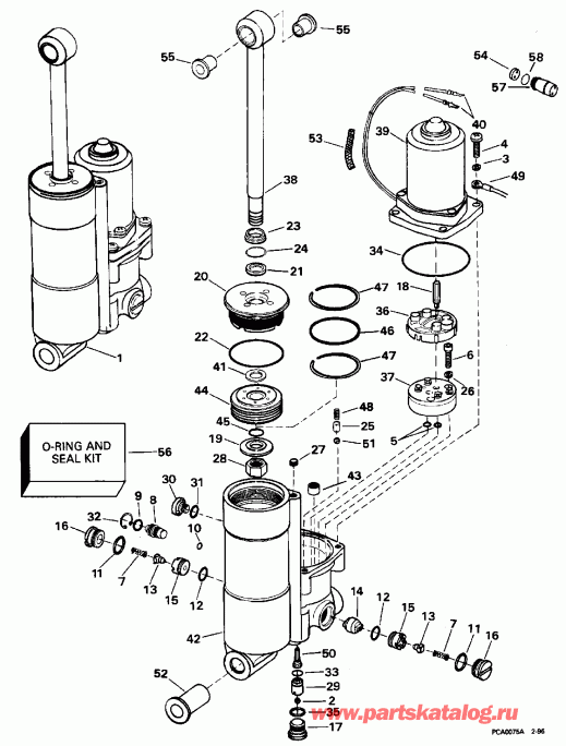 ��������� �������� ����� Evinrude E50JEDS 1996  - wer Trim/tilt - wer Trim / tilt
