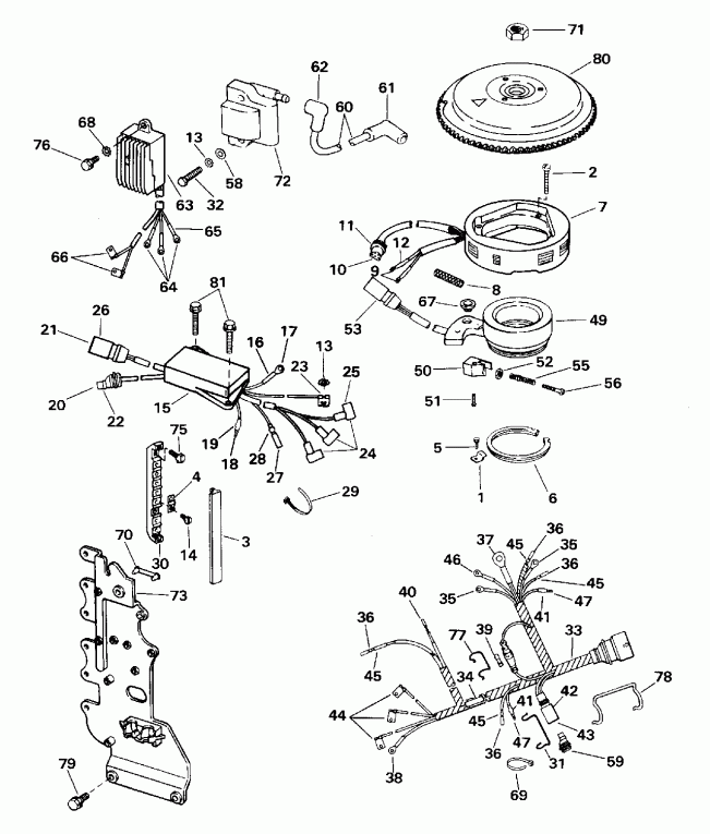 ��������� Evinrude E60TLEDR 1996  - E70rnlib Only