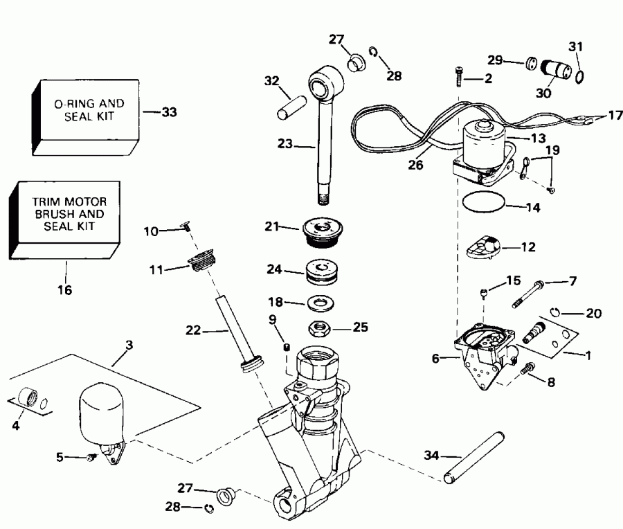����� EVINRUDE E88MSLEDC 1996  - wer Trim/tilt Hydraulic Assembly