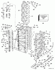  &   (Cylinder & Crankcase)