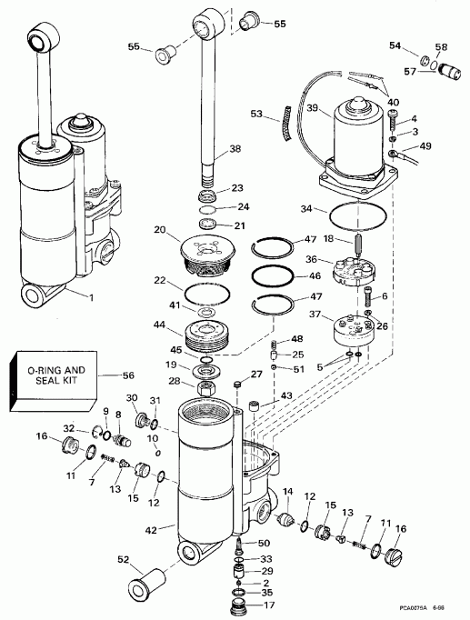 �������� ��������� ����� Evinrude BE50TSLEUS 1997  - wer Trim / tilt