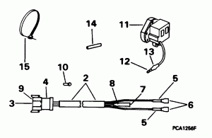 Midsection (Midsection)