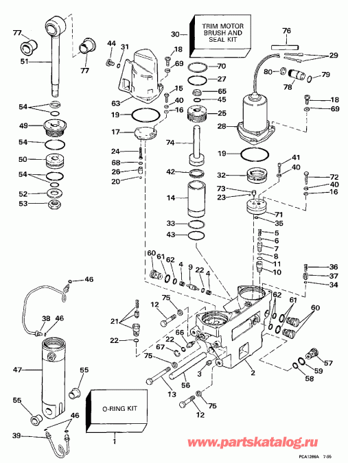 �������� ��������� ����� Evinrude E100WTXEUA 1997  - wer Trim / tilt Hydraulic Assembly
