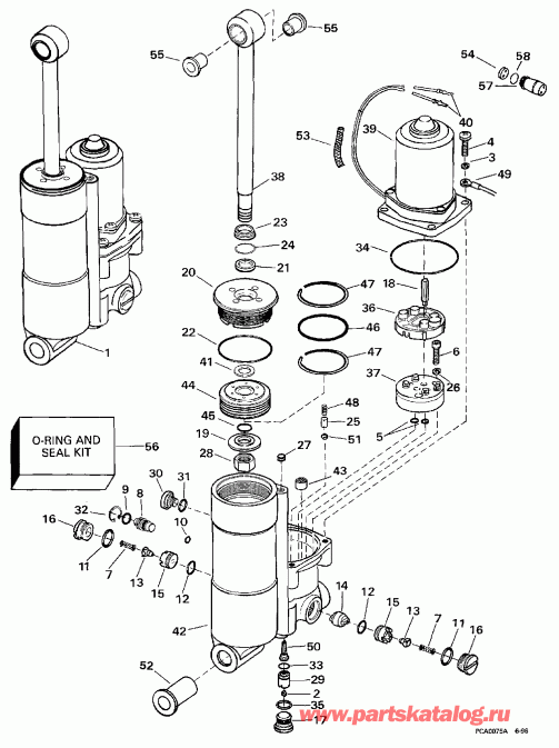 ��������� �������� ����� Evinrude E25TKEUR 1997  - wer Trim/tilt - wer Trim / tilt