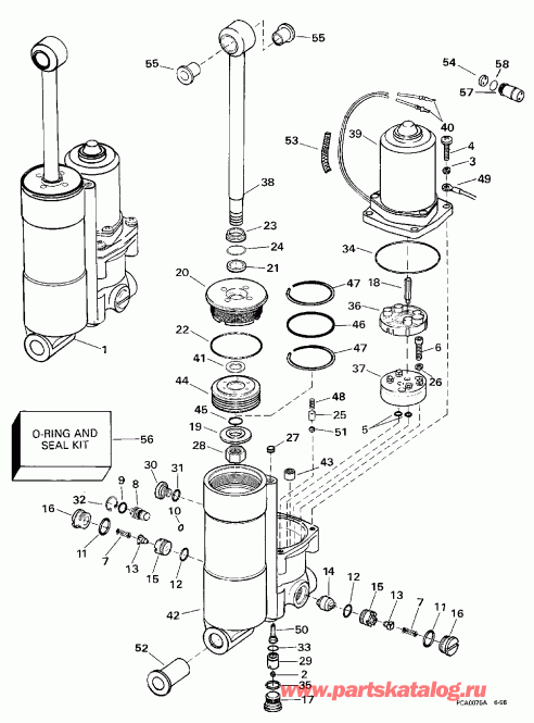 �������� ��������� ����� EVINRUDE BE40TLECR 1998  - wer Trim/tilt