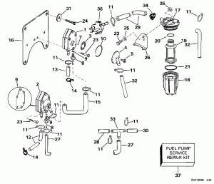   &  (Fuel Pump & Filter)