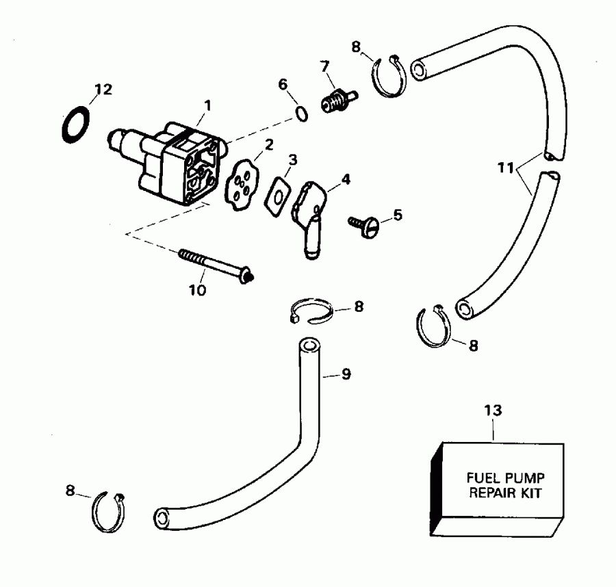 ����� Evinrude SE40RPYT2 1998  - 6 ������ -  6 Gallon