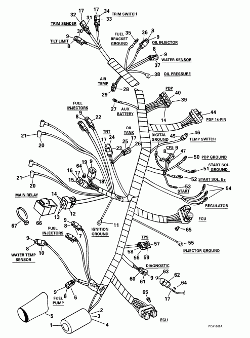 ��������� EVINRUDE E115FPXEEN 1999  - tor Cable Assembly - tor ������ Assembly