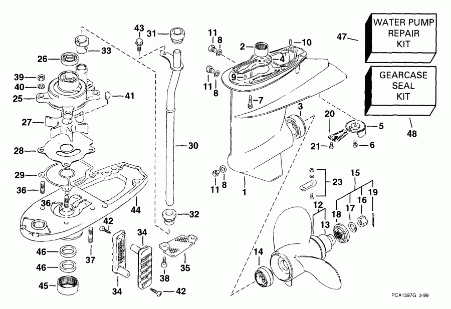 ����� Evinrude E40PL4EES 1999  - arcase