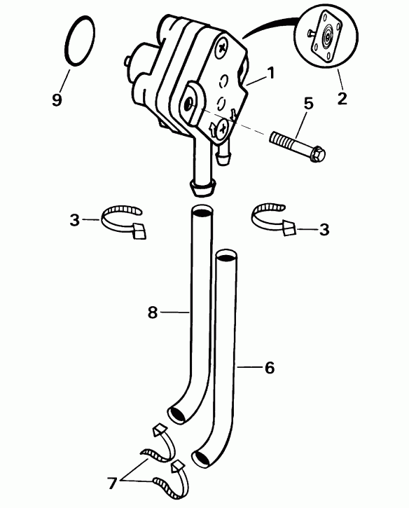  Evinrude E8RVL4SSB 4-Stroke, Rope Start, Tiller,   - el Pump - el �����