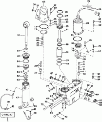 ���������������� ��������� ������� Hydraulic Assembly (Power Trim/tilt Hydraulic Assembly)