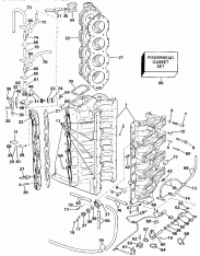 Midsection (Midsection)