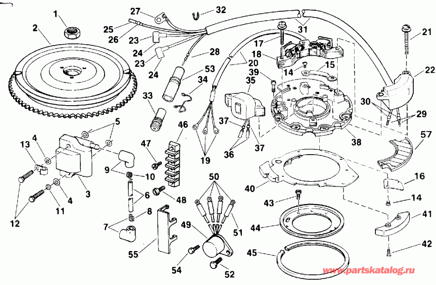 Evinrude E25TELEIE 1991  - nition - nition