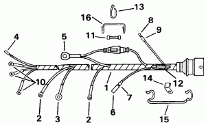  Assembly (Cable Assembly)