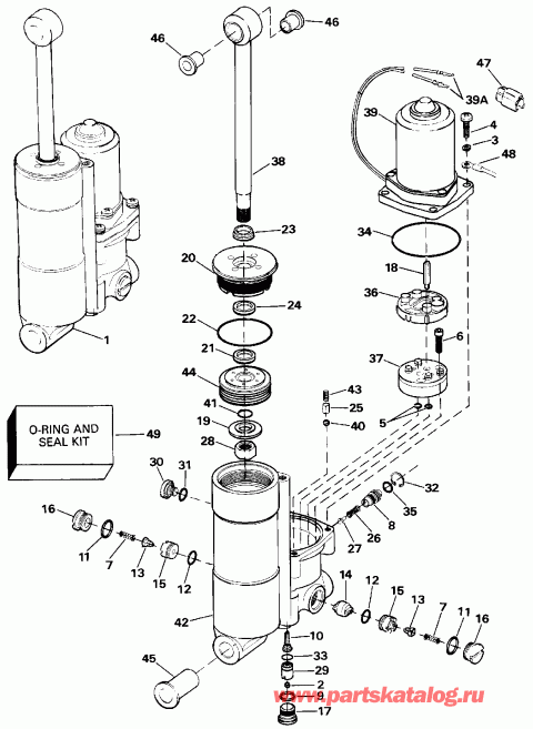 ��������� �������� ����� EVINRUDE VE50BEEIA 1991  - wer Tilt & Trim - wer Tilt & Trim