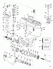 Midsection (Midsection)