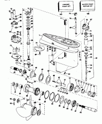 Midsection (Midsection)