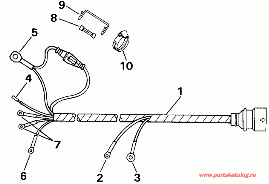 ��������� �������� ����� Evinrude VE50TLENM 1992  - take ��������� - take Manifold