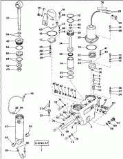 ���������������� ��������� ������� Hydraulic Assembly (Power Trim/tilt Hydraulic Assembly)