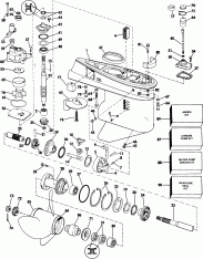 Midsection (Midsection)
