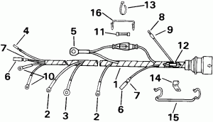 ������ Assembly (Cable Assembly)