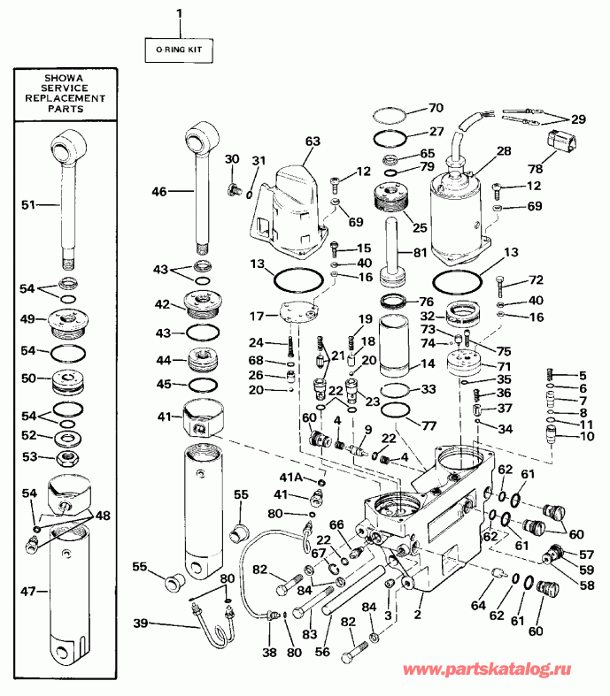   EVINRUDE E120TXCUR 1987  - wer Trim/tilt Hydraulic Assembly / wer Trim / tilt Hydraulic Assembly