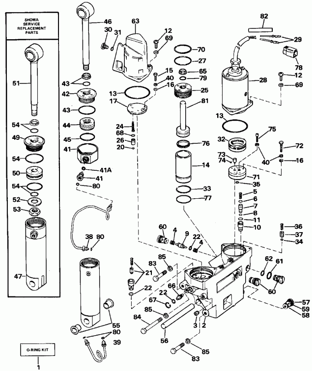   EVINRUDE E150TLCCA 1988  - wer Trim / tilt Hydraulic Assembly / wer Trim/tilt Hydraulic Assembly