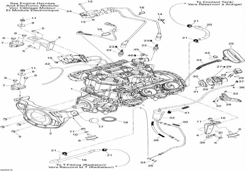 snowmobile SkiDoo - Engine