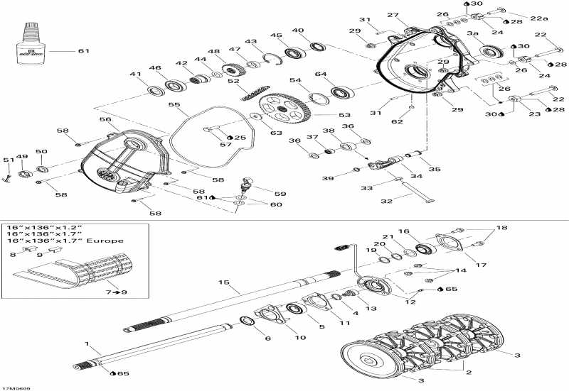 MX Z 1000 SDI Renegade X, 2006  - Drive System