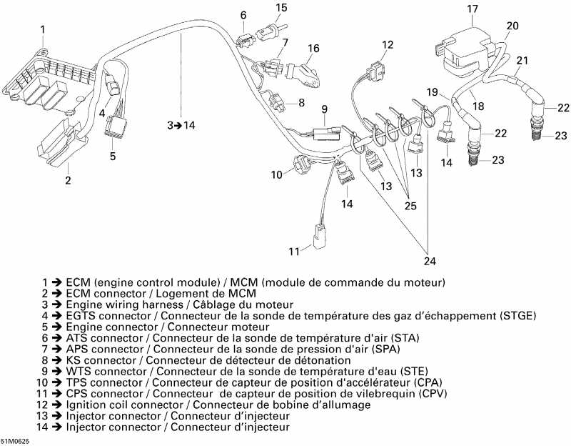   MX Z 600 HO SDI Renegade & Renegade X, 2006 - Engine Harness And Electronic Module