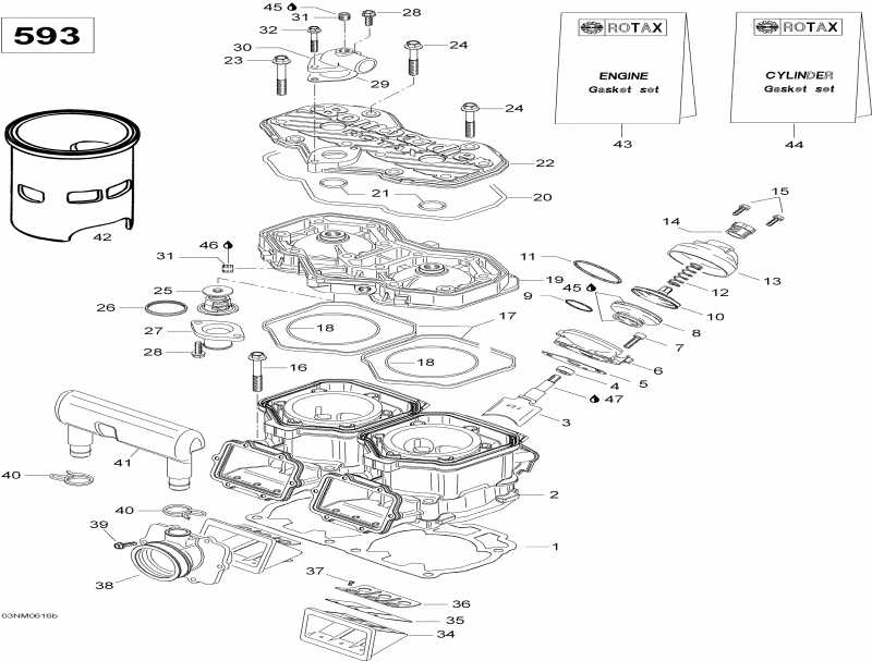 snowmobile Ski Doo Skandic WT 600, 2006 - Cylinder And Cylinder Head 593