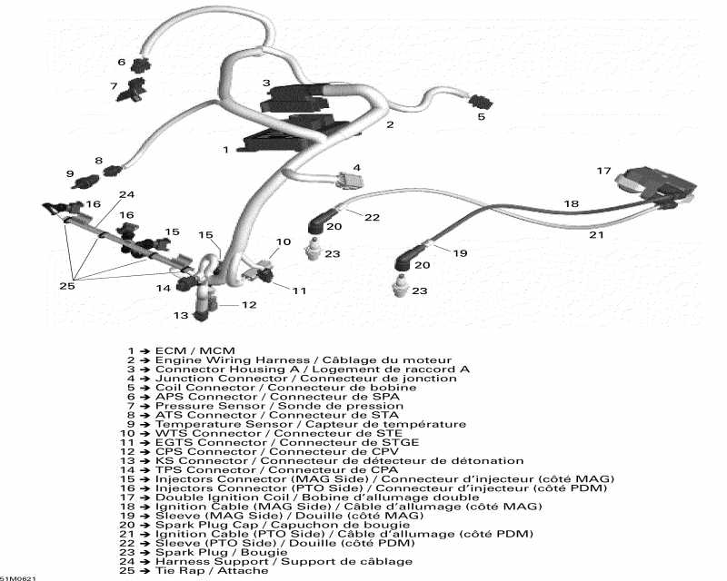 snowmobile Skidoo Summit 1000 SDI, Highmark & Highmark X, 2006 ������ - ��������� ���� �������� � Electronic Module