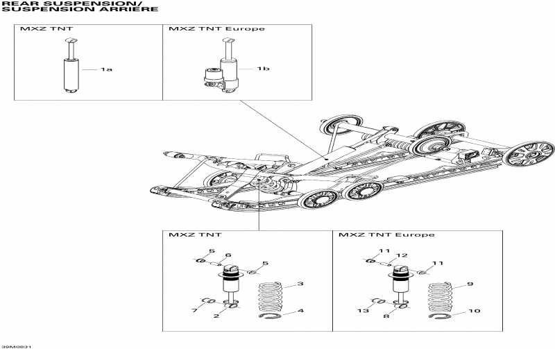 snowmobile Skidoo MX Z TNT 500SS, 2008 - Rear Suspension Shocks